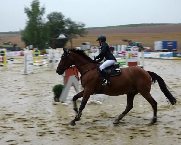 Springturnier Duderstadt 2021
