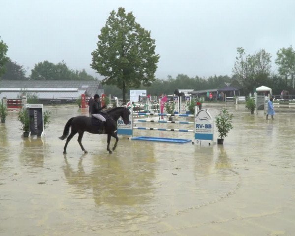 Reitturnier Bühren-Breckerfeld 2021