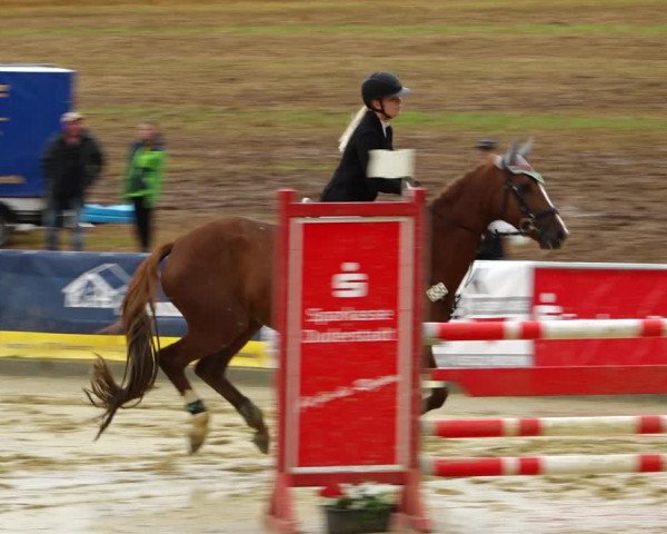 Springturnier Duderstadt 2021