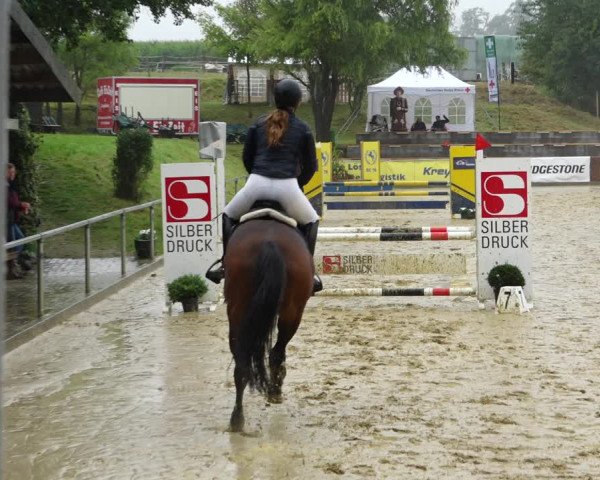 Springturnier Duderstadt 2021