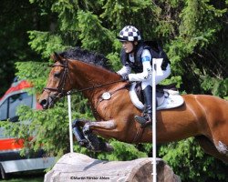 jumper Mariestad (German Riding Pony, 2006, from Montpellier 5)