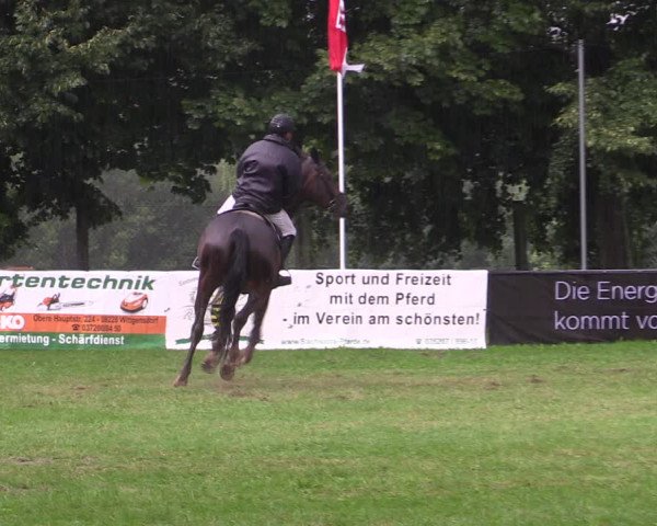 Springturnier Röhrsdorf/ Chemnitz 2021