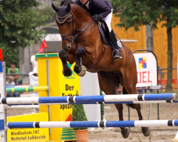 jumper Locano 2 (Oldenburg, 2008, from Lordanos)