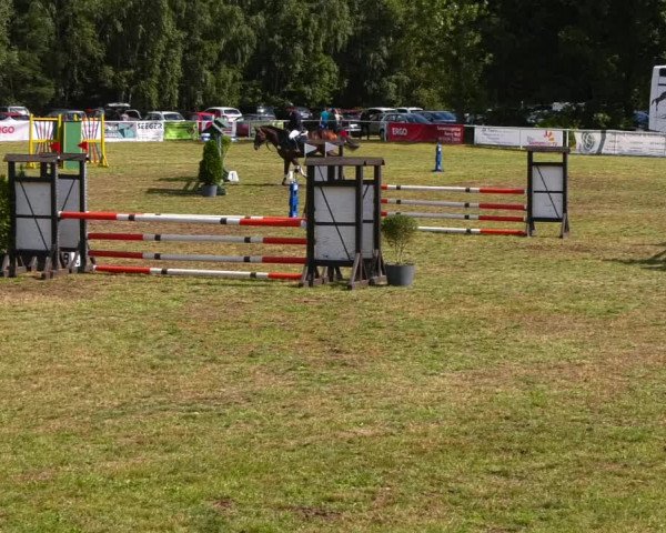 Reitturnier Reckahn 2021