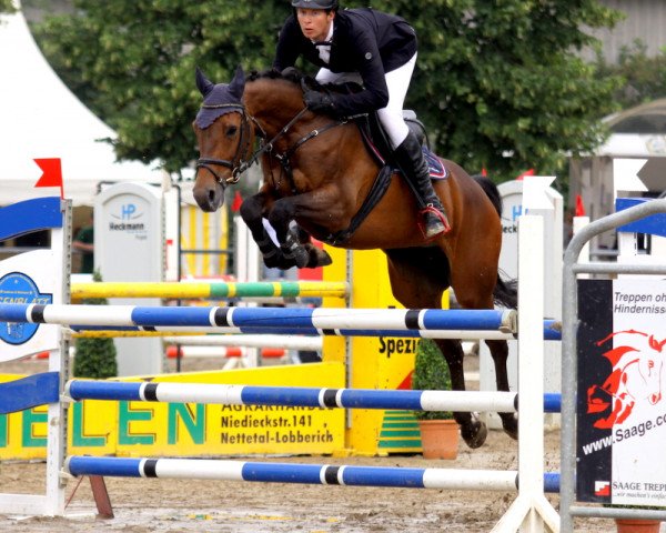 jumper Casquetta de L'Ombre (Holsteiner, 2008, from Casquetto)