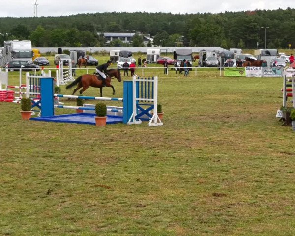 Reitturnier Reckahn 2021