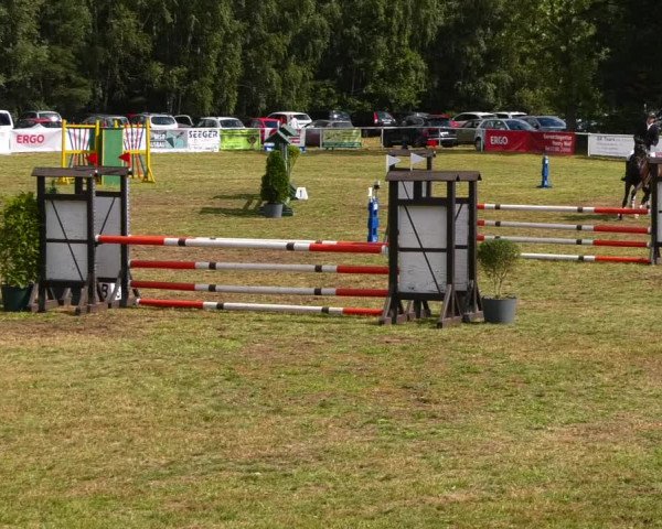 Reitturnier Reckahn 2021