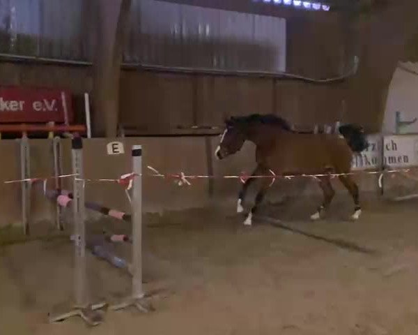 Video of My Little Girl S