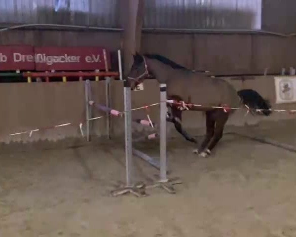 Video von Donna