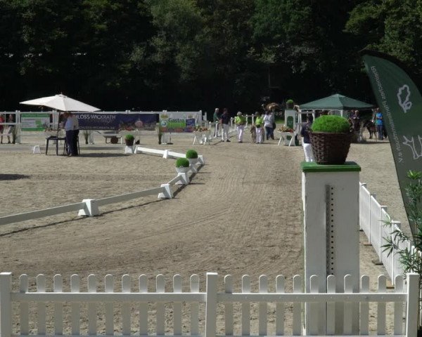 NRW Stuten-und Fohlenchampionat 2021