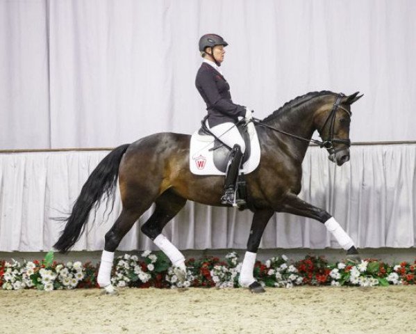 Fattrice Romeos Juliet (Westfale, 2010, di Rock Forever NRW)