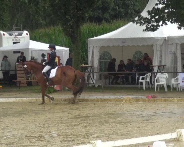 Reitturnier Willich-Anrath-Neersen 2021