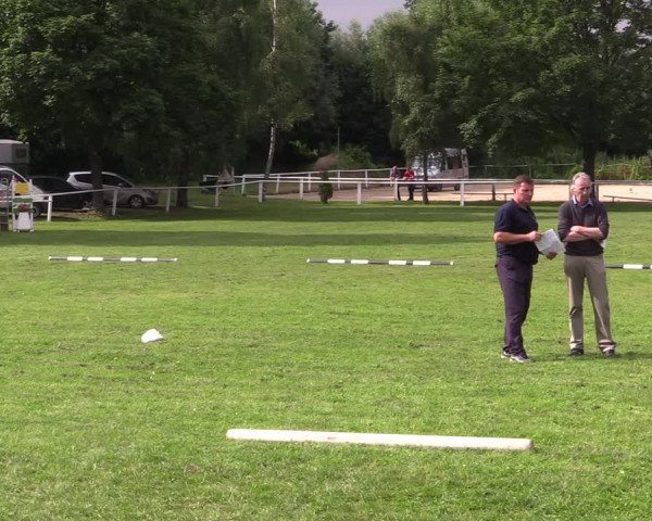 Stuten- und Fohlenschau Steinheim 2021