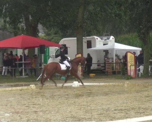 Reitturnier Willich-Anrath-Neersen 2021