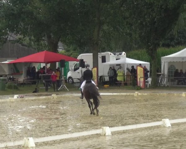 Reitturnier Willich-Anrath-Neersen 2021
