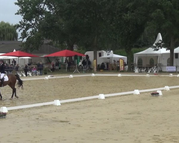 Reitturnier Willich-Anrath-Neersen 2021