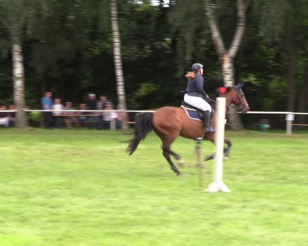 Reitturnier Berlin-Malchow 2021