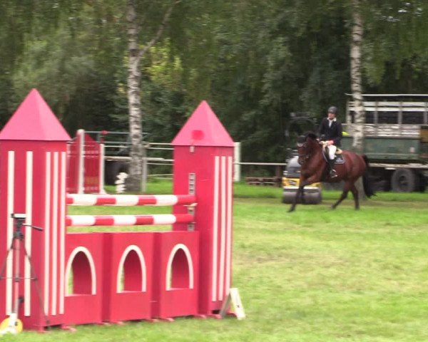Reitturnier Berlin-Malchow 2021
