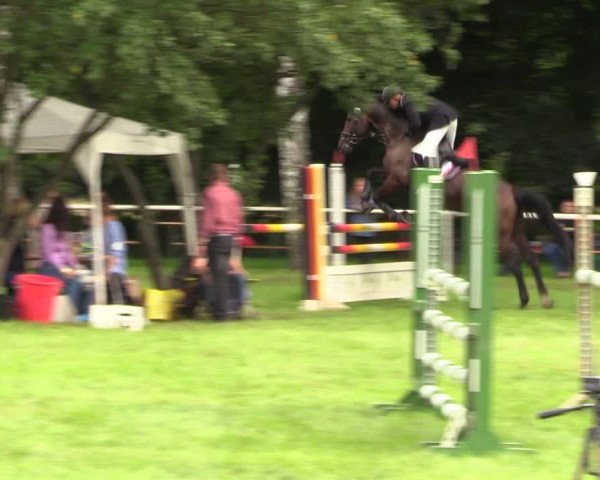 Reitturnier Berlin-Malchow 2021