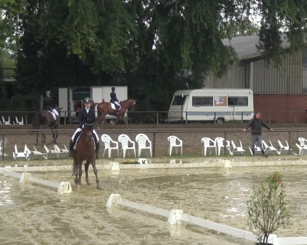 Reitturnier Willich-Anrath-Neersen 2021
