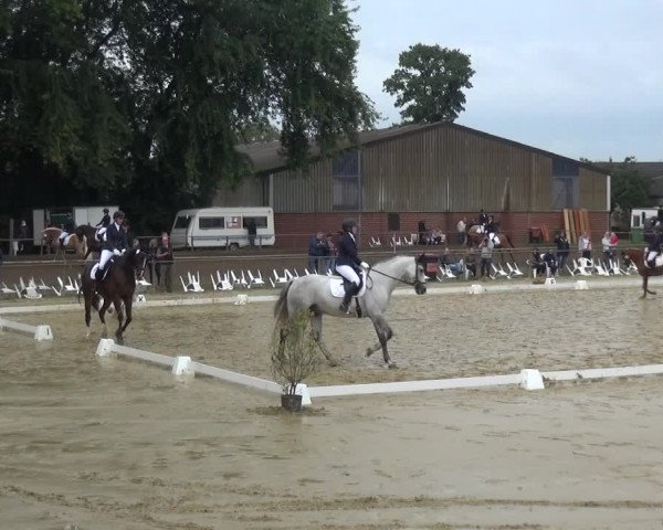 Reitturnier Willich-Anrath-Neersen 2021
