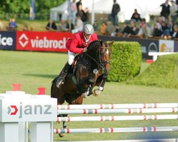 stallion Adlantico As (Hanoverian, 2000, from Adlantus As FRH)