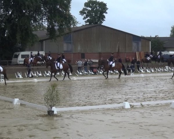 Reitturnier Willich-Anrath-Neersen 2021