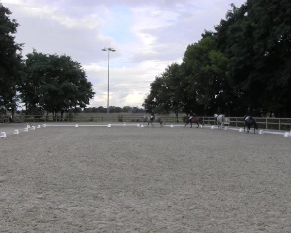 Dressurturnier Ruhlsdorf 2021