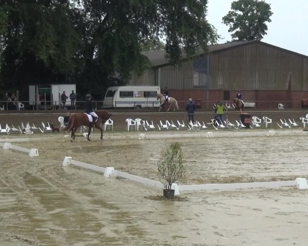 Reitturnier Willich-Anrath-Neersen 2021