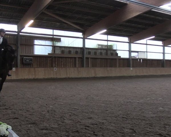 Dressurturnier Ruhlsdorf 2021