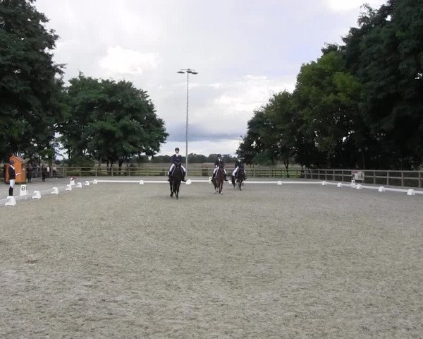 Dressurturnier Ruhlsdorf 2021