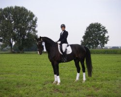 dressage horse Corleone 63 (Bavarian, 2005, from Competent)