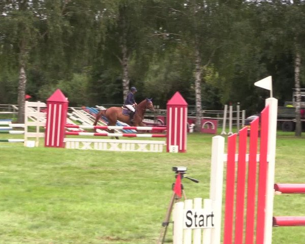Reitturnier Berlin-Malchow 2021