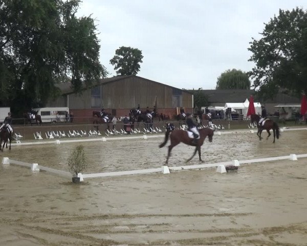 Reitturnier Willich-Anrath-Neersen 2021