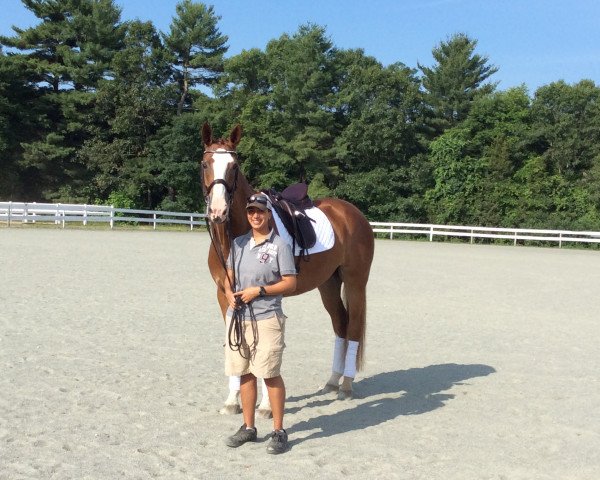 dressage horse Ratzberna (Hessian Warmblood, 2006, from Ruehmann)