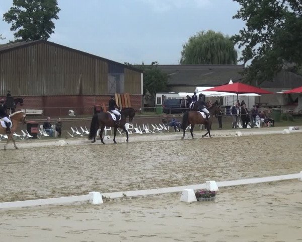 Reitturnier Willich-Anrath-Neersen 2021