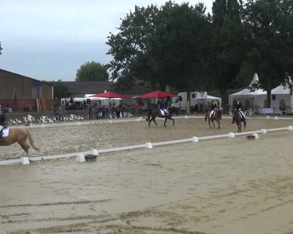 Reitturnier Willich-Anrath-Neersen 2021