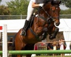 jumper Calimero M (Württemberger, 1996, from Calmaro)