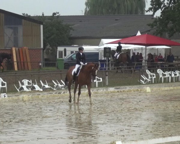 Reitturnier Willich-Anrath-Neersen 2021
