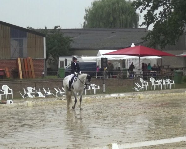 Reitturnier Willich-Anrath-Neersen 2021