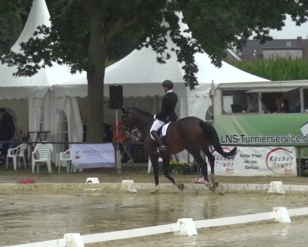 Reitturnier Willich-Anrath-Neersen 2021