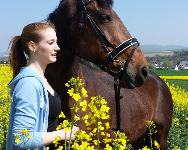 horse Quax 21 (Hanoverian, 1993, from Lanthan)