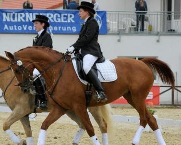 Pferd Weilanda (Oldenburger, 1997, von Landor S)
