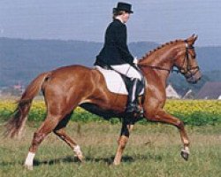 Broodmare Finale (Westphalian, 1997, from Florestan I)