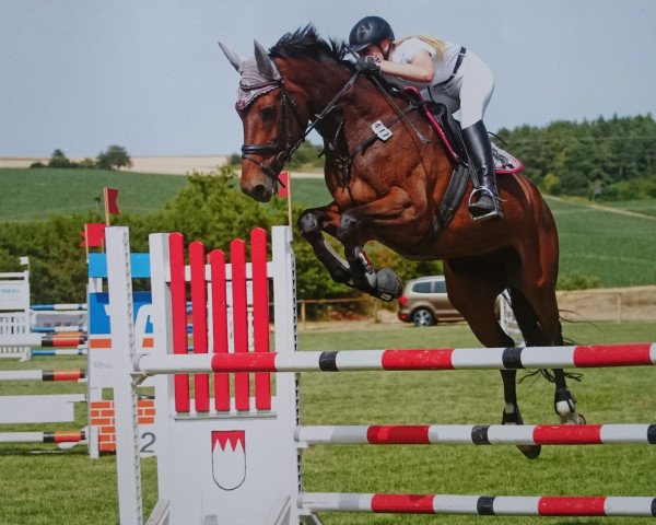 broodmare Stray Heart (KWPN (Royal Dutch Sporthorse), 2002, from Florett As)