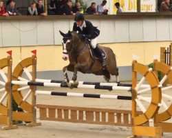 jumper Like A Spot (Westphalian, 2008, from Lissacor)