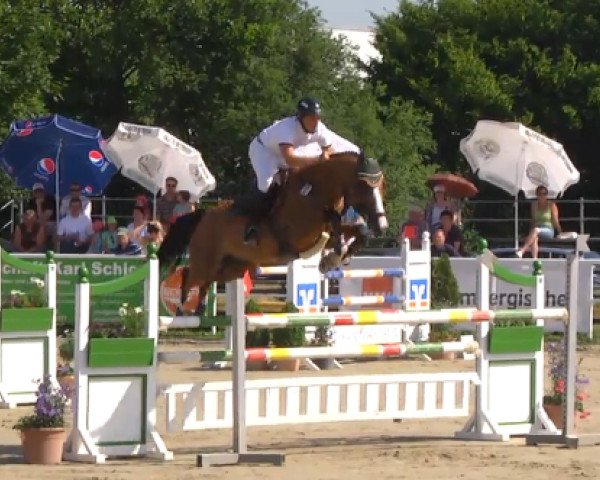 jumper Corvington S (Württemberger, 2009, from Berlin)