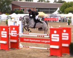 jumper Conway 26 (Holsteiner, 2009, from Contender)