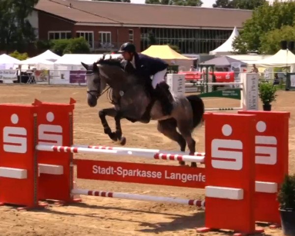 jumper Bg Chillout (Westphalian, 2009, from Clinton)
