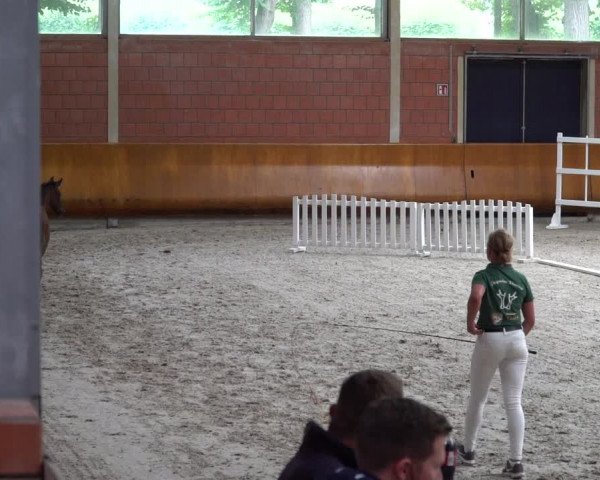 Fohlenschau Wickrath - Nachtermin